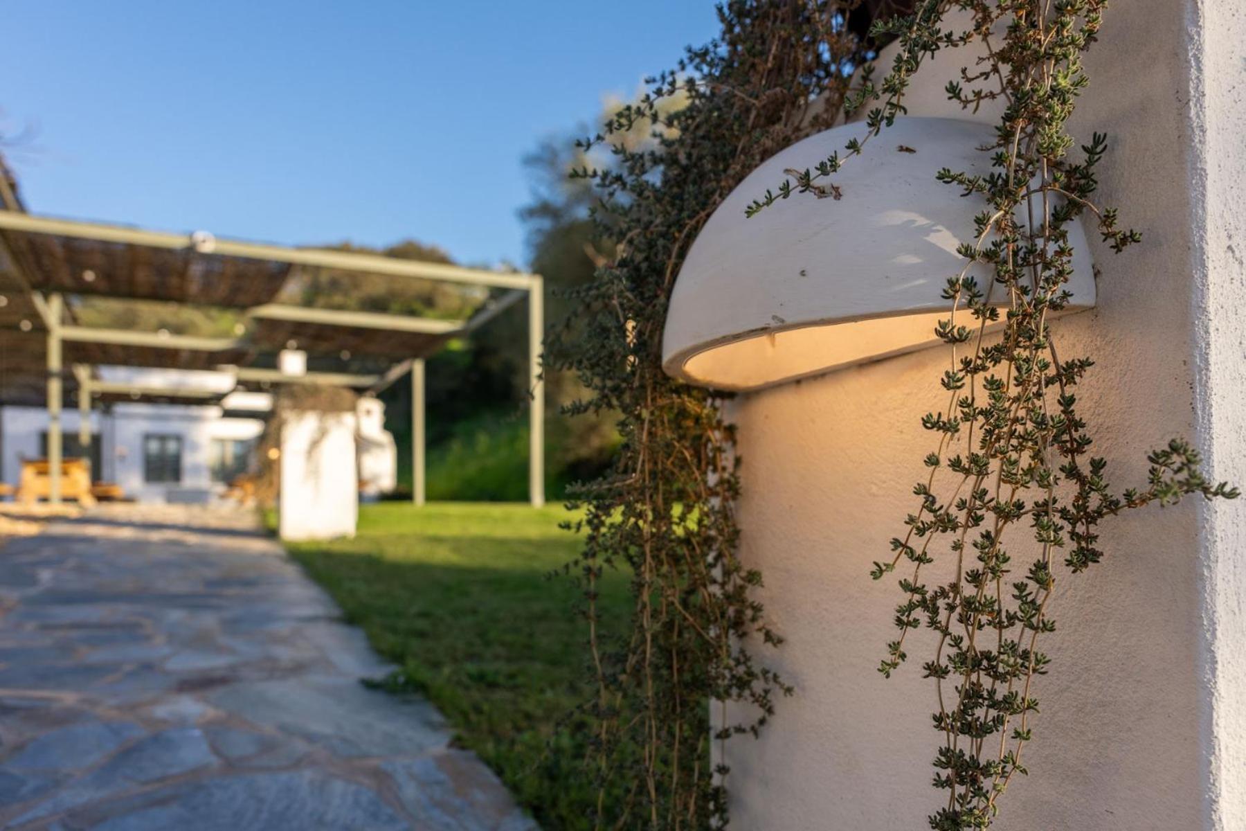 Apartamentos, Finca Contrabando Sanlucar Del Guadiana, Huelva Sanlúcar de Guadiana 外观 照片